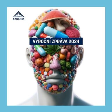 Výroční zpráva 2024