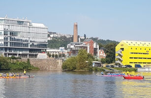 Rotary Dragon Boat Charity Challenge 2022