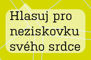 Hlasujte pro SANANIM v Neziskovce roku