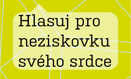 Hlasujte pro SANANIM v Neziskovce roku