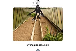 Výroční zpráva za rok 2019