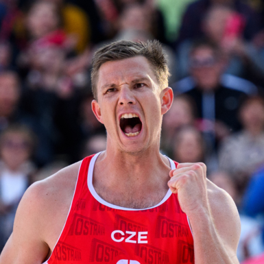 David Schweiner