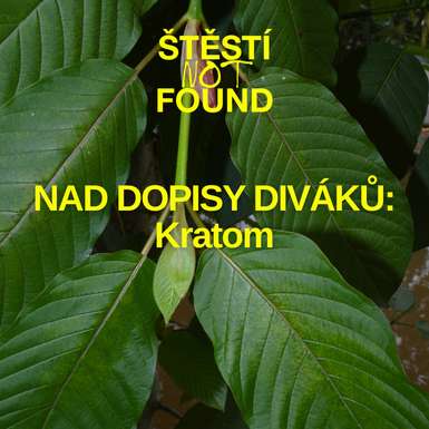 Nad dopisy diváků - kratom - Pepa a Anička a dotazy z Drogové poradny