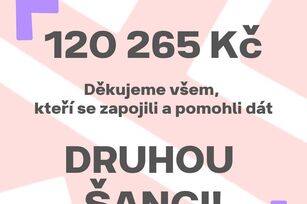 Benefiční dražba „Dejme druhou šanci“ vynesla 120 265 Kč